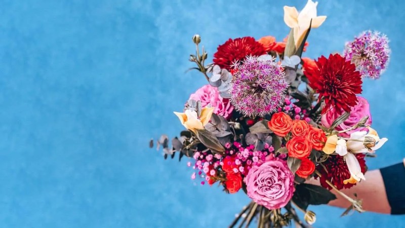enviar flores en Zaragoza