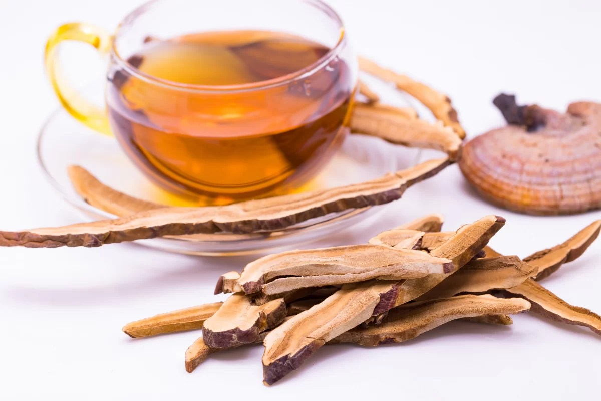 Mushroom Tea Potential Benefits, Side Effects, and Recipes