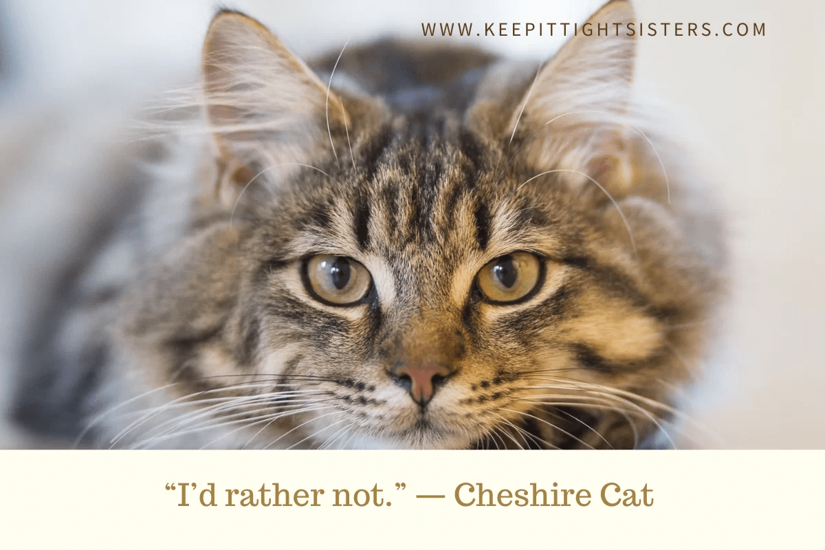12 Cheshire Cat Quotes to Inspire Women Leaders - Keep It Tight Sisters