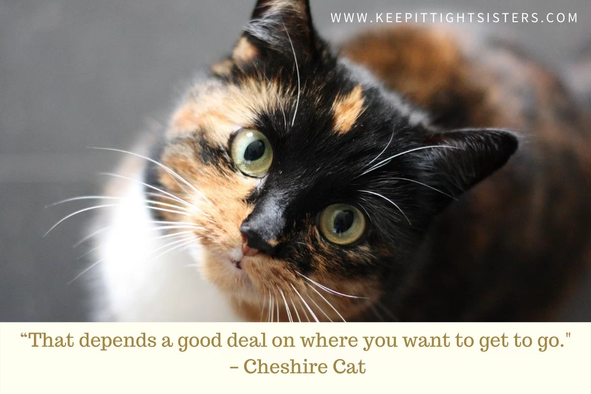 12 Cheshire Cat Quotes to Inspire Women Leaders - Keep It Tight Sisters