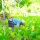Best 20 Agricultural Investment Platforms In Nigeria