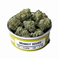 Buy monkey sours marijuana strain