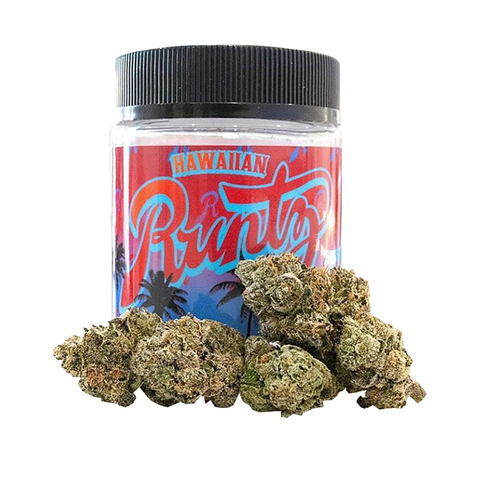 Buy Hawaiian Runtz strain – premium tropical cannabis with 24% THC