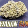 Hawaiian Runtz strain by Moonrock Online Shop – neon green cannabis buds with purple hues, sticky trichomes, and tropical fruit accents on packaging