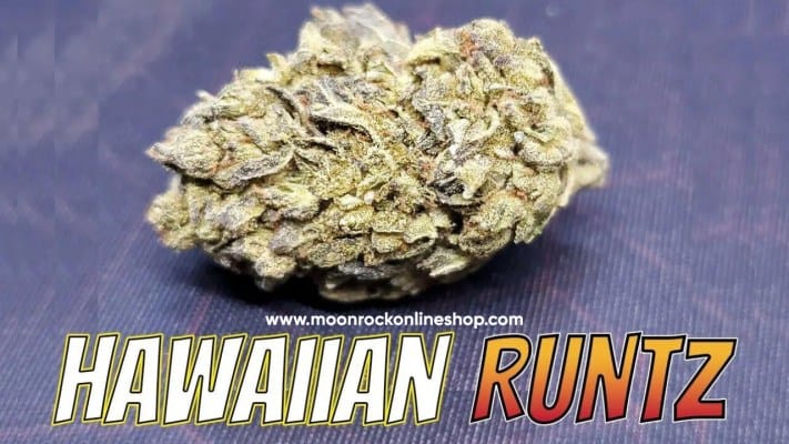 Hawaiian Runtz strain by Moonrock Online Shop – neon green cannabis buds with purple hues, sticky trichomes, and tropical fruit accents on packaging