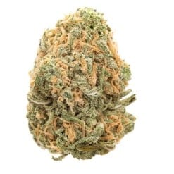 Buy Blue Dream Online