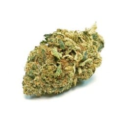 Buy Bubba Kush Online