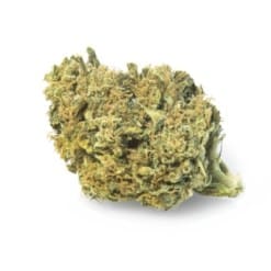 Buy Gorilla Glue Kush Strain - Premium sativa-dominant hybrid cannabis buds