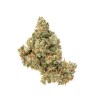 Buy Jack Herer Online - Premium Sativa Cannabis Flower | Moonrock Shop