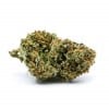 Buy White Widow Strain – frosty hybrid cannabis bud thumbnail image