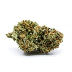 Buy White Widow Strain – frosty hybrid cannabis bud thumbnail image