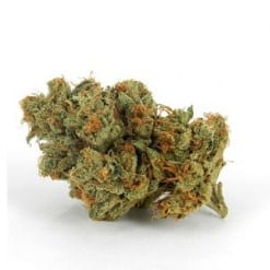 Buy Alaskan Thunderfuck Sativa Strain Online | Moonrock