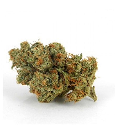 Buy Alaskan Thunderfuck Sativa Strain Online | Moonrock