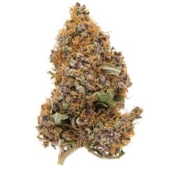 Shop Purple Haze Cannabis Online | Moonrock Premium Strain