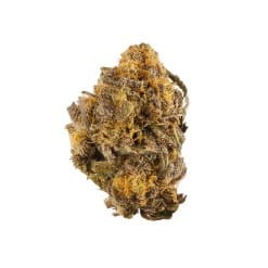 Buy Purple Kush Online - Premium Indica Strain