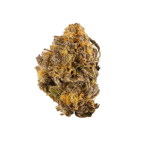 Buy Purple Kush Online - Premium Indica Strain