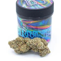 Buy Gruntz Strain – 23-25% THC hybrid cannabis with citrus flavor