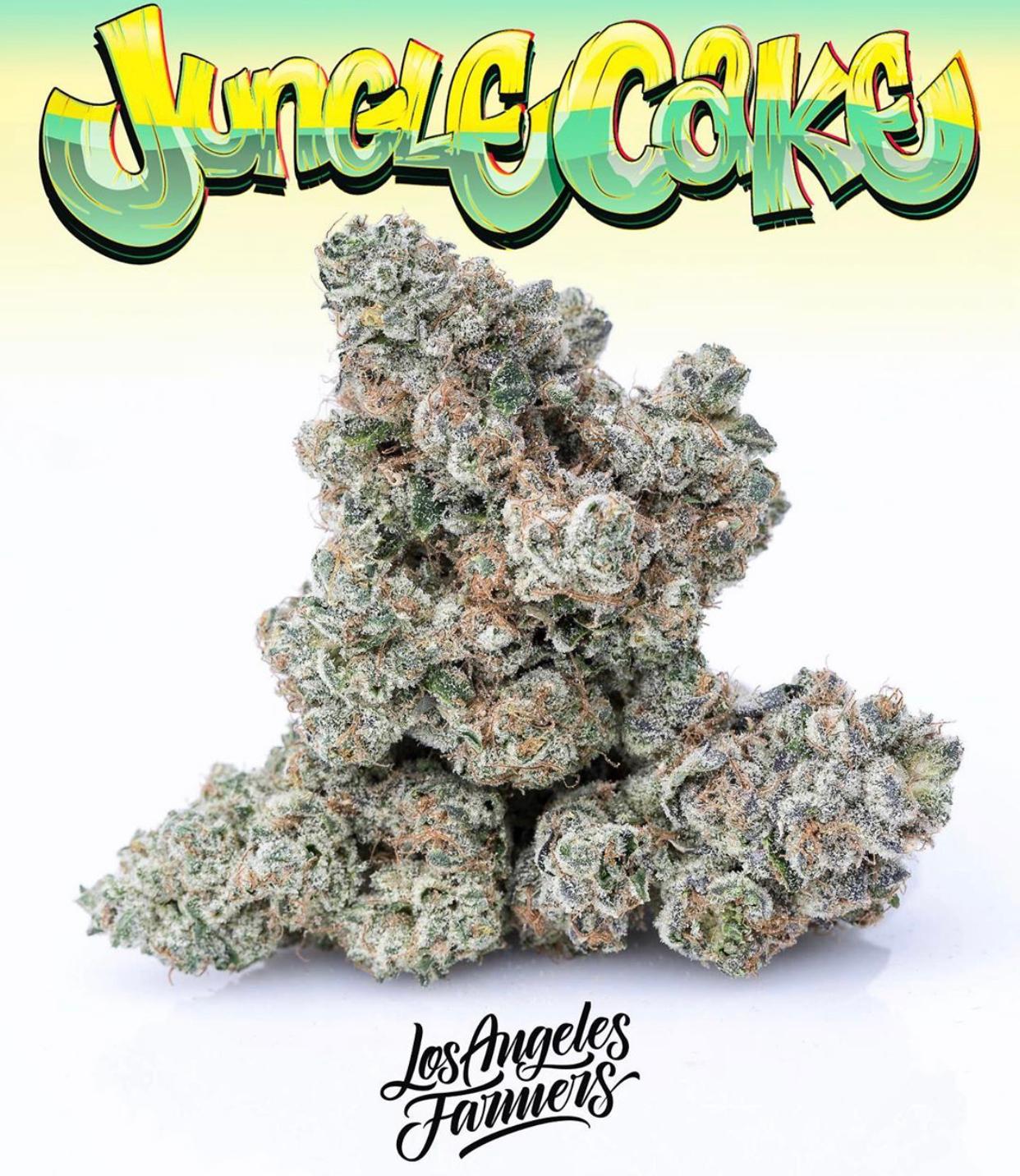 Jungle cake Jungleboys