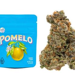 Buy Pomelo Cookies Online - Sativa-Leaning Hybrid | Moonrock