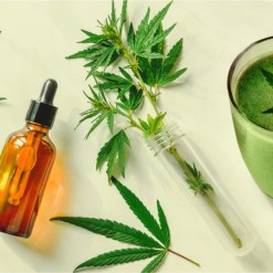 CBD Oil and Products
