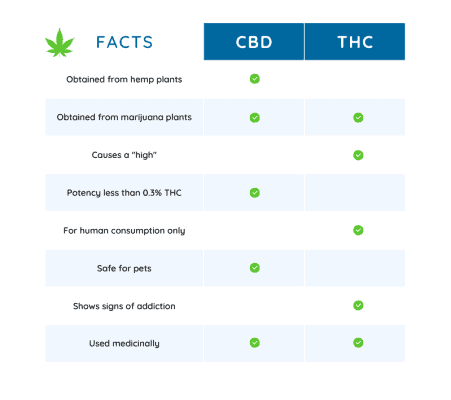 THC vs CBD comparison infographic: effects, legality, and wellness benefits.