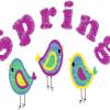 Spring Birds