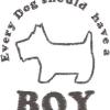 Westie saying Boy or Girl