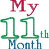 Baby First 13 Month Theme Design Collection 4x4 hoop - Image 6