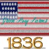 Applique USA Star 3 inch - Image 8