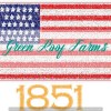 Applique USA Star 3 inch - Image 14