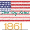 Applique USA Star 3 inch - Image 16