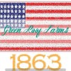 Applique USA Star 3 inch - Image 17