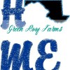 HOME with the state as the "O" all 50 states in pack - Image 21
