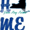 HOME with the state as the "O" all 50 states in pack - Image 33