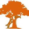 Tree, Dog, Raccoon Design - Image 2
