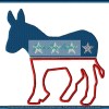 Democratic Party 6 designs - Image 3