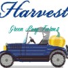 Model T transporting a pumpkin - Image 5