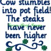 Billboard Sayings Pack 1 5x7 13 designs - Image 5