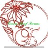 Redwork Poinsettia Font Design Pack ; 26 designs - Image 6