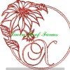 Redwork Poinsettia Font Design Pack ; 26 designs - Image 27