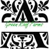 MEGA 4x4, 5x5, 8x8 Royal Font Split with knockdown: Entire Alphabet 3 sizes - 78 designs - Image 20