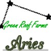 Aries 4x4 including a knockdown
