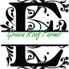 MEGA 4x4, 5x5, 8x8 Royal Font Split with knockdown: Entire Alphabet 3 sizes - 78 designs - Image 26