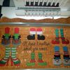 Festive feet Entire Collection : 16 designs, 15 for 4x4 hoop