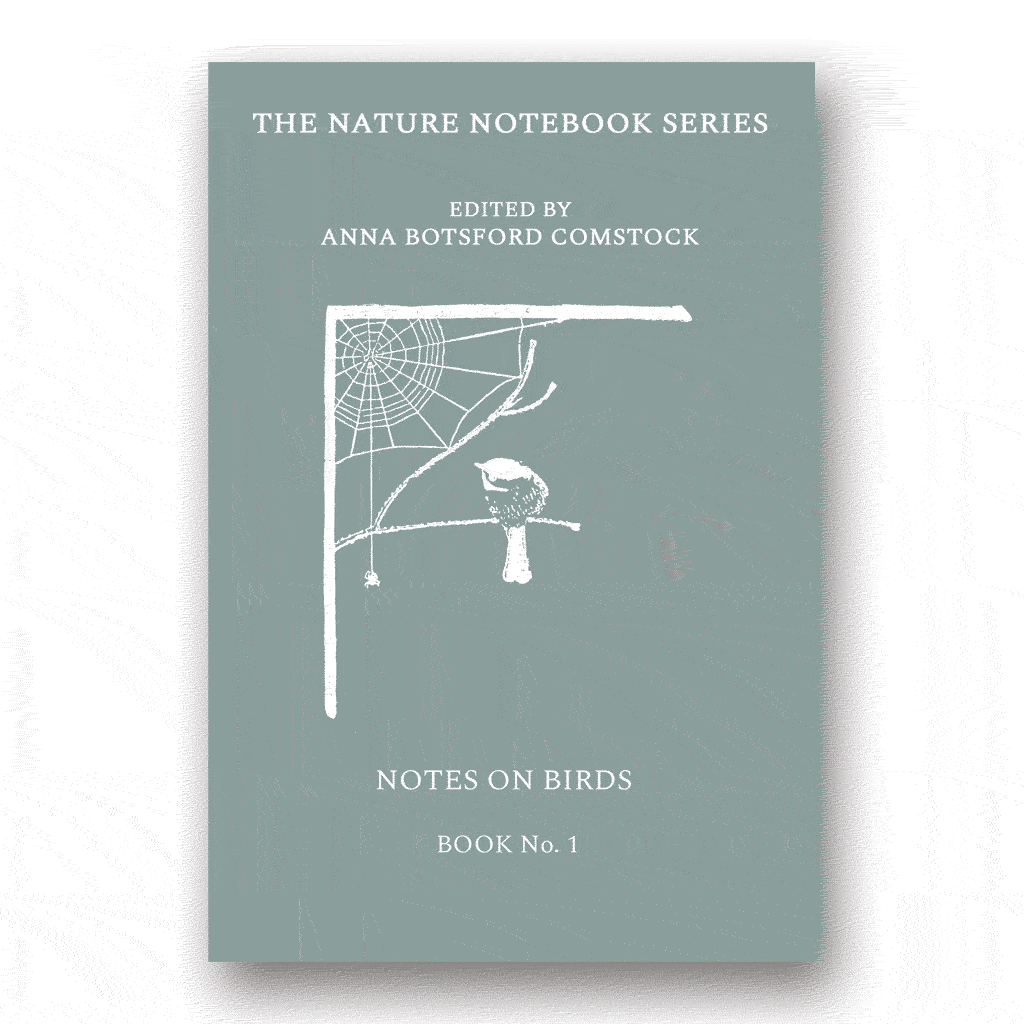 Notes on Birds 1