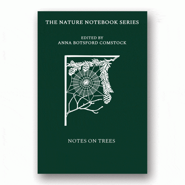 Notes on Trees