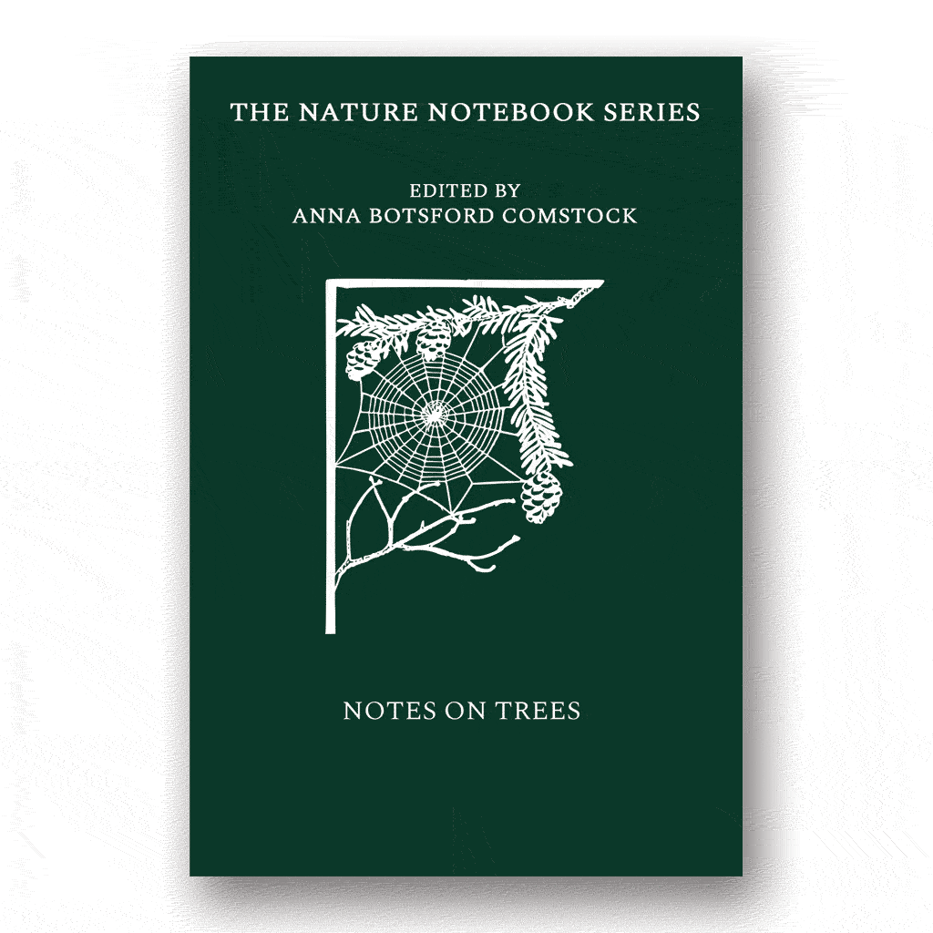 Notes on Trees