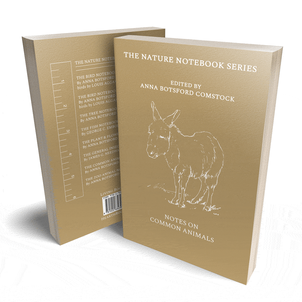 Nature Notebook Bundle