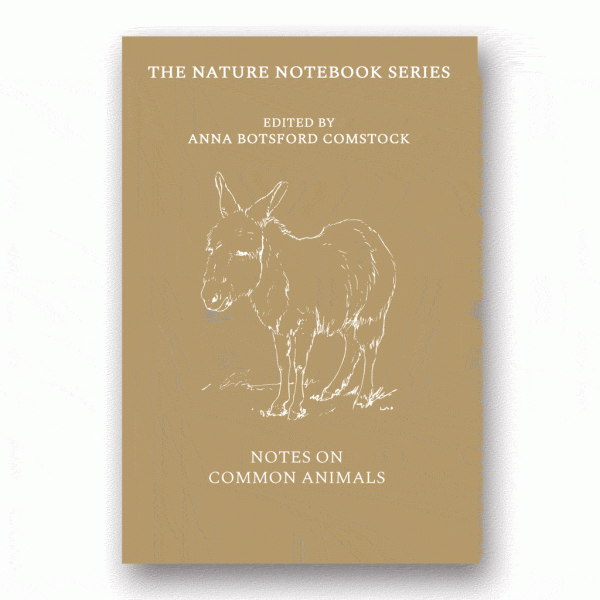Notes on Common Animals