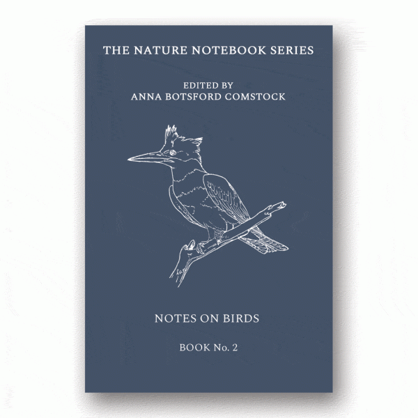 Notes on Birds 2